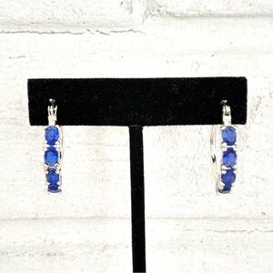 Silver and Blue Hoop Earrings